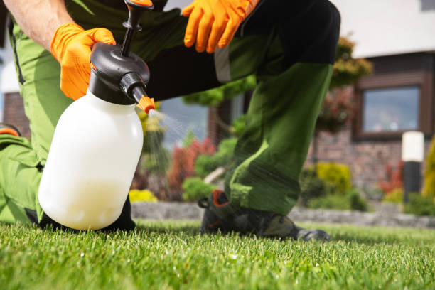 Best Pest Control Near Me in Copper Canyon, TX