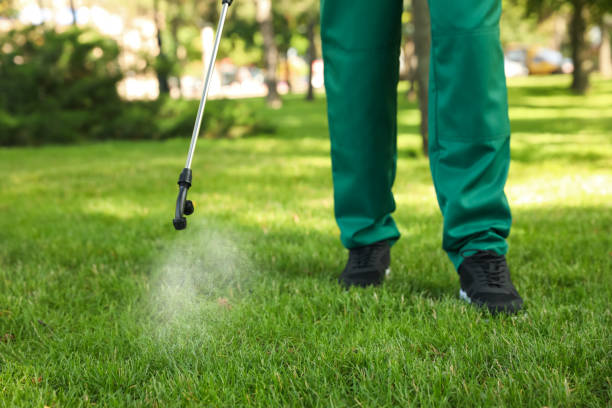 Best Residential Pest Control  in Copper Canyon, TX