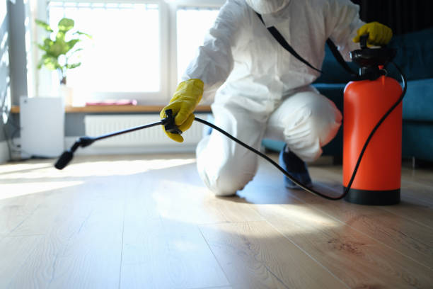 Best Emergency Pest Control  in Copper Canyon, TX