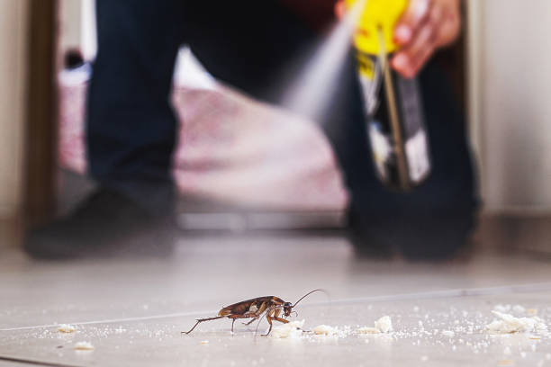 Best Cockroach Control Services  in Copper Canyon, TX